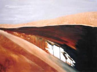Desert Twilight
